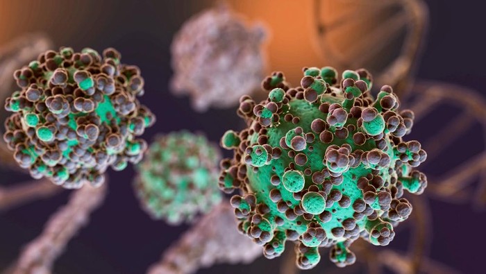 Mengenal Hantavirus: Penyebab, Gejala, dan Cara Penanganannya