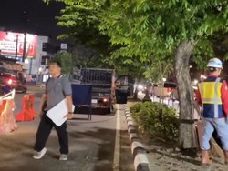 2.886 Pohon di Medan Ditebang untuk Pembangunan Koridor BRT Mebidang