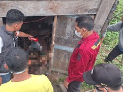 Pria Lansia Ditemukan Tewas dalam Gubuk di Muara Enim