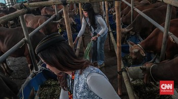 FOTO: 'Pramugari' Layani Jual-Beli Sapi Kurban di Mall Qurban