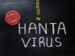 Apa Itu Andes Virus? Marak Dikaitkan dengan Ancaman Pandemi Hantavirus