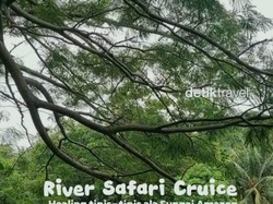 Video: Jakarta Ternyata Punya Vibes ala Sungai Amazon