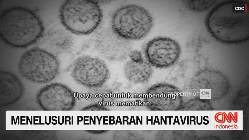 VIDEO: Menelusuri Penyebaran Hantavirus
