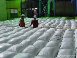 Kata PT SGN Soal Target Produksi Gula Nasional Tembus 3 Juta Ton