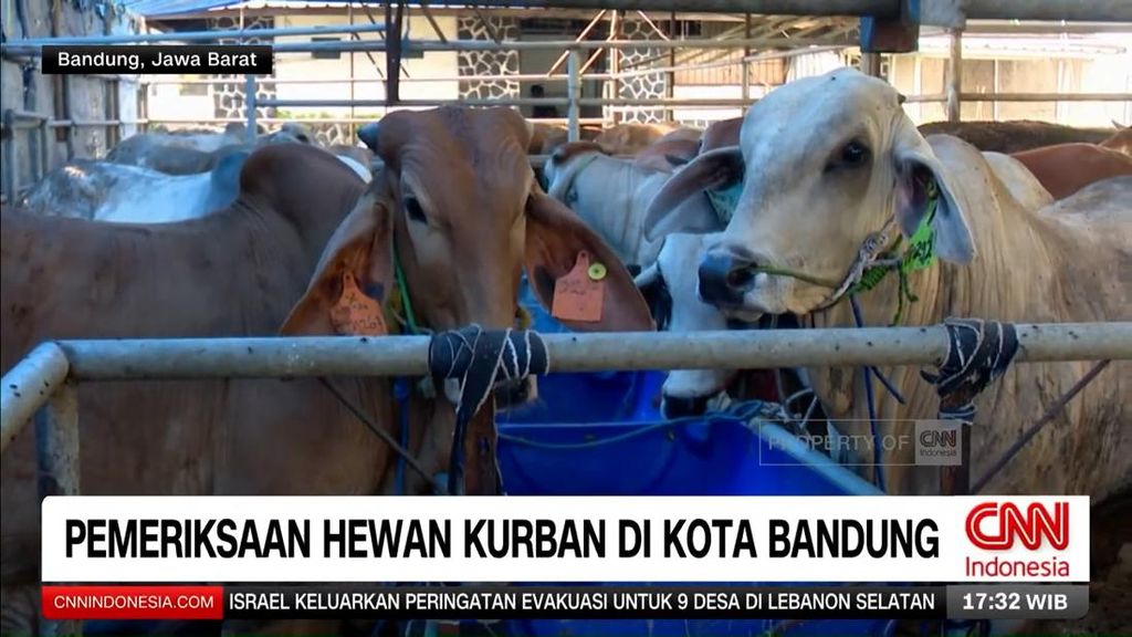 VIDEO: Ribuan Hewan Kurban di Bandung Jalani Pemeriksaan Kesehatan