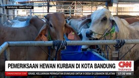 VIDEO: Ribuan Hewan Kurban di Bandung Jalani Pemeriksaan Kesehatan