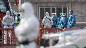 FOTO: Penumpang Kapal Pesiar Wabah Virus Hanta Mulai Dievakuasi
