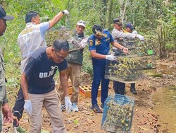Gagal Diselundupkan, 1.088 Burung Kicau Kembali ke Habitat Alami di Labuan Bajo