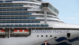 115 Orang di Kapal Pesiar Caribbean Princess Terinfeksi Norovirus