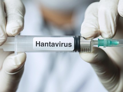 IDAI Minta Masyarakat Tak Cemas soal Hantavirus, Difteri dan Campak Dinilai Lebih Mendesak