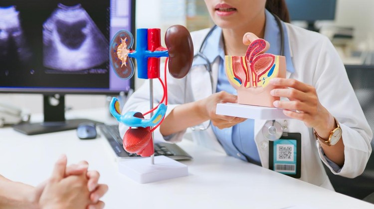 Ilustrasi albuminuria