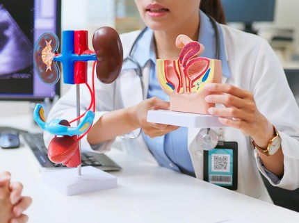 Mengenal Albuminuria, Tanda Ginjal Bocor atau Rusak