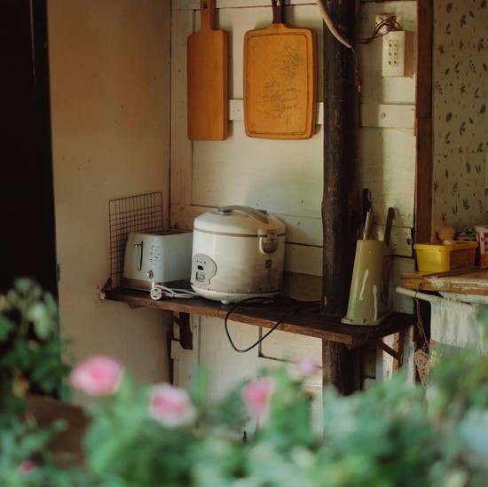 Tips Membersihkan Rice Cooker yang Tepat