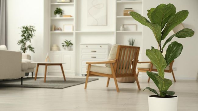 10 Rekomendasi Tanaman Hias Artifisial Yang Cocok Percantik Dan Segarkan Rumah