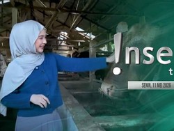 Insert Today: SPG Ala Pramugari Tawarkan Sapi Jelang Idul Adha