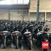 99 Ribu Motor Ilegal Terjual ke Tahiti-Togo, Kerugian RI Rp117 M