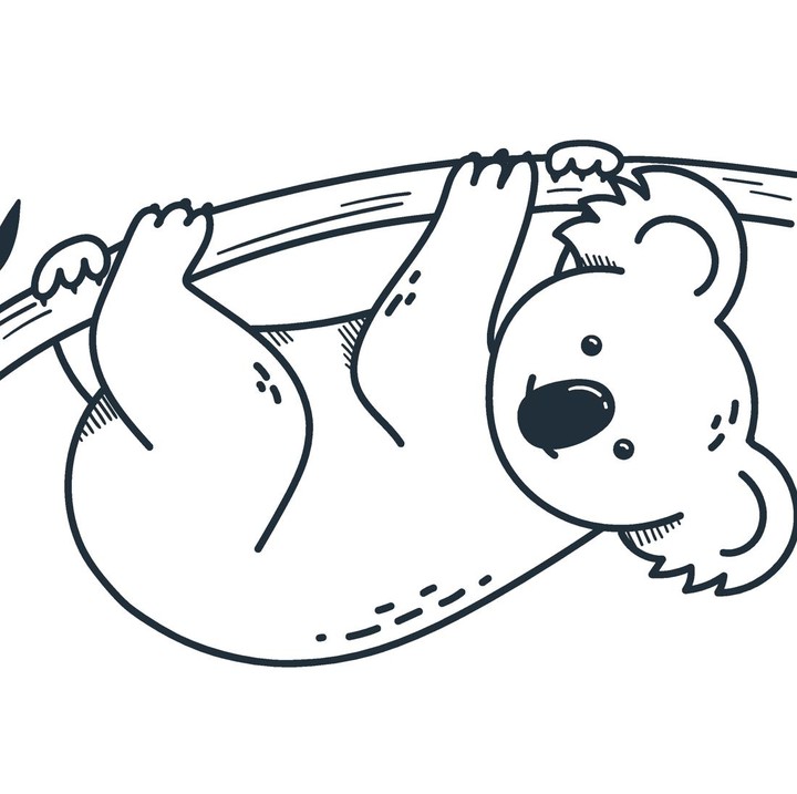 <p>Selanjutnya, terdapat gambar hewan koala. Koala adalah hewan yang hidup di pepohonan dan sering terlihat berpegangan di batang pohon. Anak bisa mewarnainya dengan warna abu-abu pada tubuhnya dan hitam di bagian hidung, serta jangan lupa ya memberi warna pada batang pohonnya. (Foto: Getty Images/Bulgakova Kristina)</p>