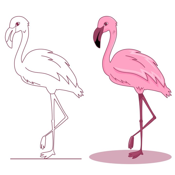 <p>Flamingo adalah burung yang terkenal dengan bulunya yang berwarna merah muda. Dengan paruh dan kaki yang panjang, flamingo menjadi salah satu burung yang paling mudah dikenali. Anak-anak bisa mewarnai tubuh flamingo dengan warna merah muda. (Foto: Getty Images/Katerina Shebeko)</p>