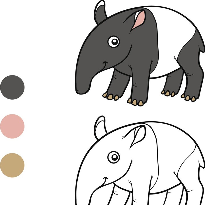 <p>Tapir adalah hewan yang hidup di hutan dan memakan dedaunan. Si Kecil bisa menggambar sekaligus mewarnai hewan ini dengan kombinasi warna hitam dan putih pada tubuhnya. (Foto: Getty Images/iStockphoto/ksenya_savva)</p>