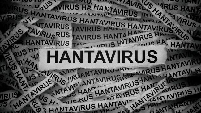 Seoul Virus (SEOV) merupakan jenis Hantavirus yang umum ditemukan di Indonesia. Virus ini menyebabkan hemorrhagic fever renal syndrome (HFRS).