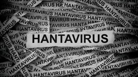 Bisakah Hantavirus Menular Antarmanusia? Ini Penjelasan BRIN
