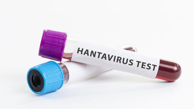 Kemenkes mengatakan, pemahaman mengenai cara penularan Hantavirus penting agar masyarakat dapat melakukan pencegahan secara tepat.
