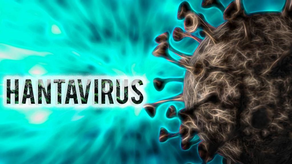 Penumpang Kapal Wabah Hantavirus Dikarantina di Taiwan