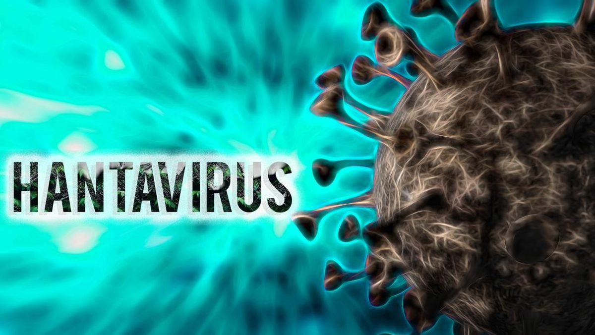 Penumpang Kapal Wabah Hantavirus Dikarantina di Taiwan