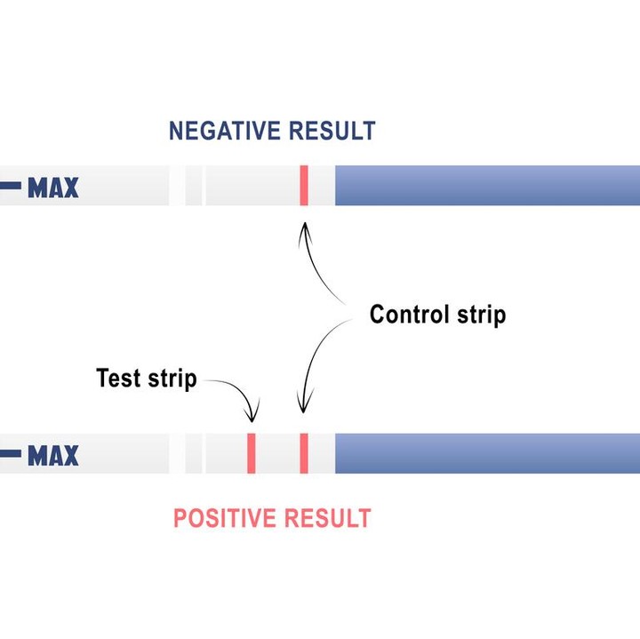 <p>Dalam tespek, dua garis dapat menandakan <em>control strip</em> (C) dan <em>test strip</em> (T). Hasil satu garis terang tespek dapat menandakan negatif hamil, sementara dua garis merah adalah&nbsp;simbol positif hamil. (Foto: Getty Images/iStockphoto)</p>