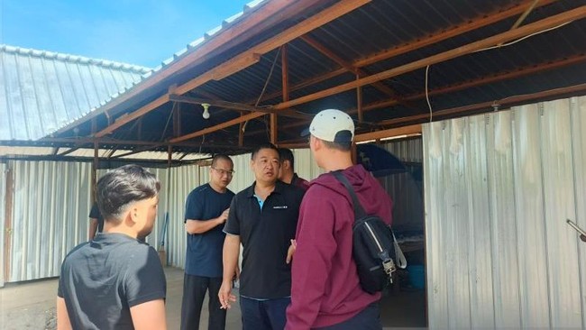 Sebanyak 15 WNA asal China yang bekerja di kawasan tambang emas Gunung Botak, Buru, Maluku, terancam dideportasi karena hanya kantongi izin tinggal kunjungan.