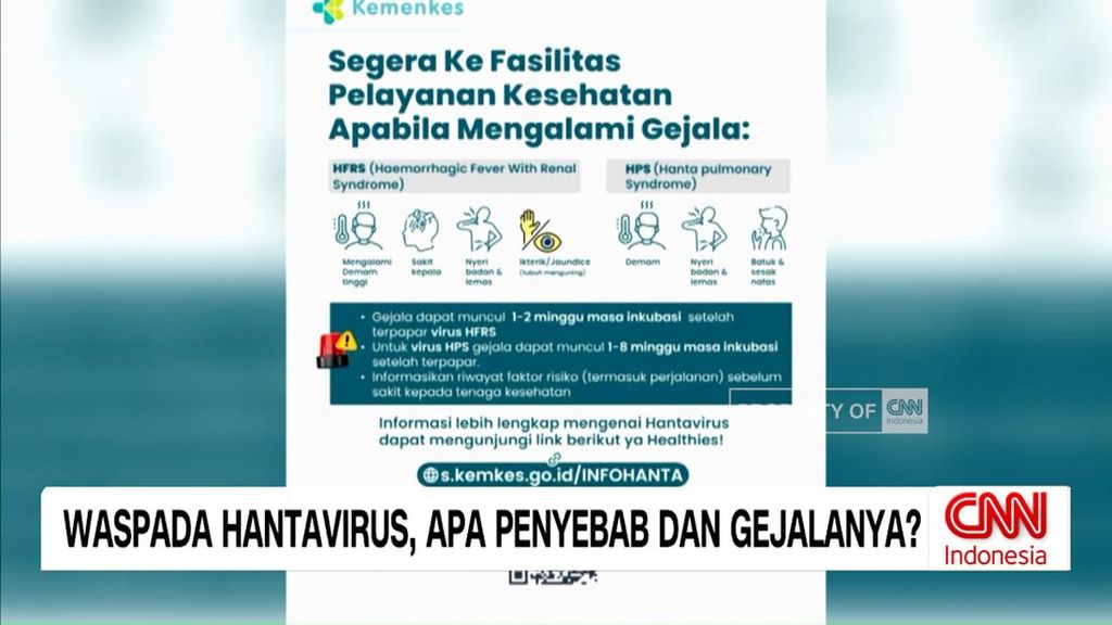 VIDEO: Mengenal Hantavirus, Penyebab Hingga Gejalanya