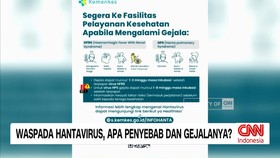 VIDEO: Mengenal Hantavirus, Penyebab Hingga Gejalanya