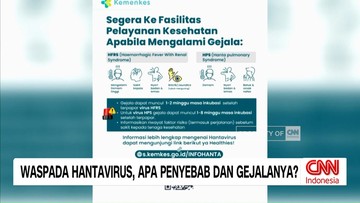 VIDEO: Mengenal Hantavirus, Penyebab Hingga Gejalanya