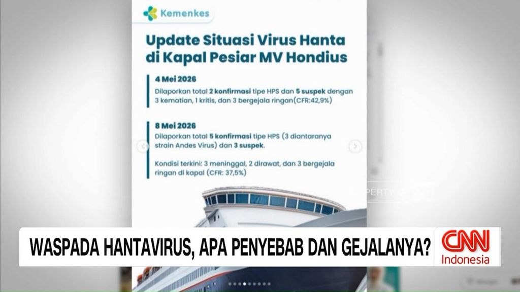 VIDEO: Waspada Hantavirus, Apa Penyebab dan Gejalanya?