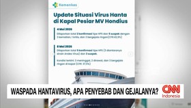 VIDEO: Waspada Hantavirus, Apa Penyebab dan Gejalanya?