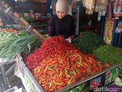 Harga Cabai Merah di Medan Turun Jadi Rp 32 Ribu/Kg, Pedagang Ikut Senang