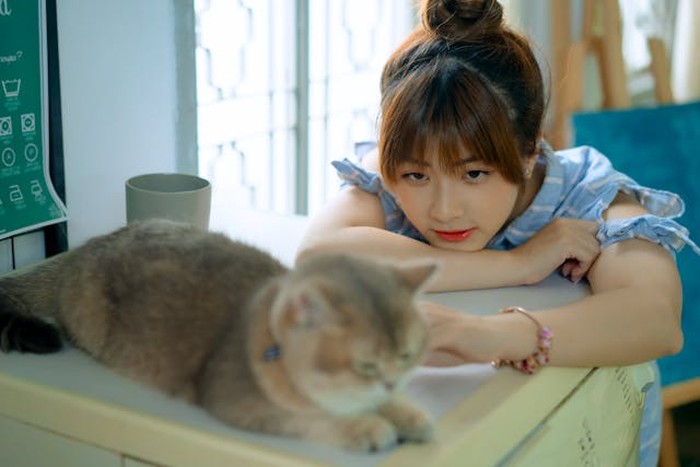 Kucing yang selalu mengikuti ke mana pun kamu pergi di dalam rumah sedang menunjukkan bahwa ia ingin terus dekat denganmu.