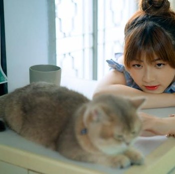 5 Ciri Kepribadian Orang yang Suka Memelihara Kucing