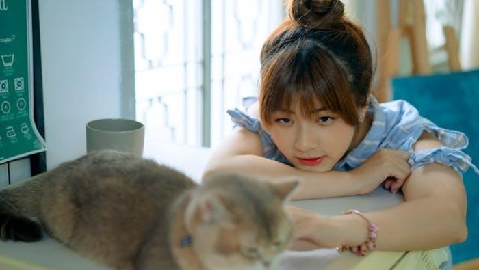 5 Ciri Kepribadian Orang yang Suka Memelihara Kucing