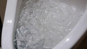 Manfaat Buang Es Batu ke Kloset WC, Trik Bersih-bersih yang Viral