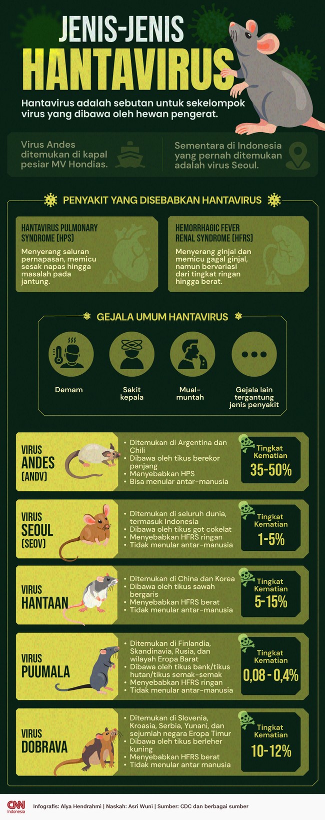 Hantavirus pada dasarnya merupakan sebutan untuk sekelompok virus yang ditularkan lewat hewan pengerat.