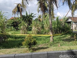 Penampakan Lokasi Temuan Mayat Membusuk di Darmasaba Badung