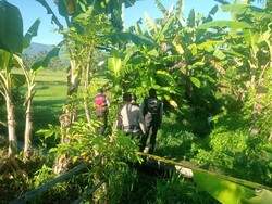 Hendak Buang Air, Warga Buleleng Temukan Mayat di Saluran Irigasi