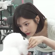 Joy Red Velvet Asah Keterampilan Baru untuk Dapatkan Sertifikasi Perawatan Hewan Peliharaan