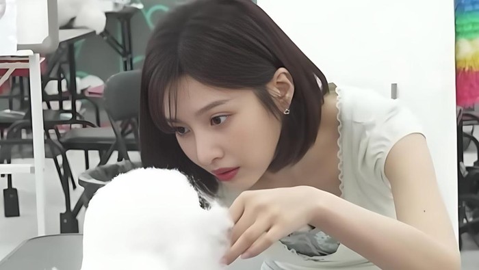 Joy Red Velvet Asah Keterampilan Baru untuk Dapatkan Sertifikasi Perawatan Hewan Peliharaan