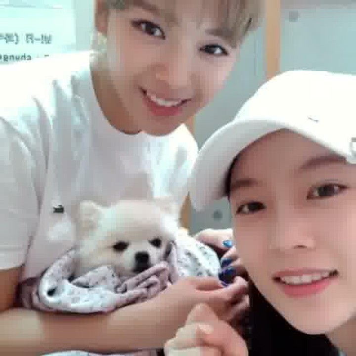 <p>Selain membintangi drama, Gong Seung Yeon juga tampil dalam film <em>Handsome Guys</em>. Nah, saat proses syuting berlangsung, sang adik, Jeongyeon, sempat mengirimkan truk kopi ke lokasi syuting sebagai bentuk dukungan untuknya. (Foto: Instagram @0seungyeon)</p>
