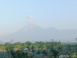 Semeru 4 Kali Erupsi, Abu Vulkanik Mencapai Ketinggian 1 Km