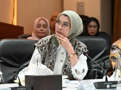 Sikap dan Imbauan Arzeti Bilbina Soal Hantavirus