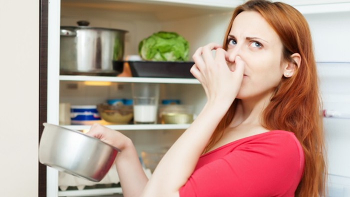 9 Cara Menghilangkan Bau Tak Sedap di Kulkas dengan Bahan Sederhana