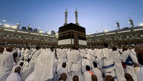 Saudi Luncurkan Super Apps Bantu Jemaah Haji, Ada Bahasa Indonesia